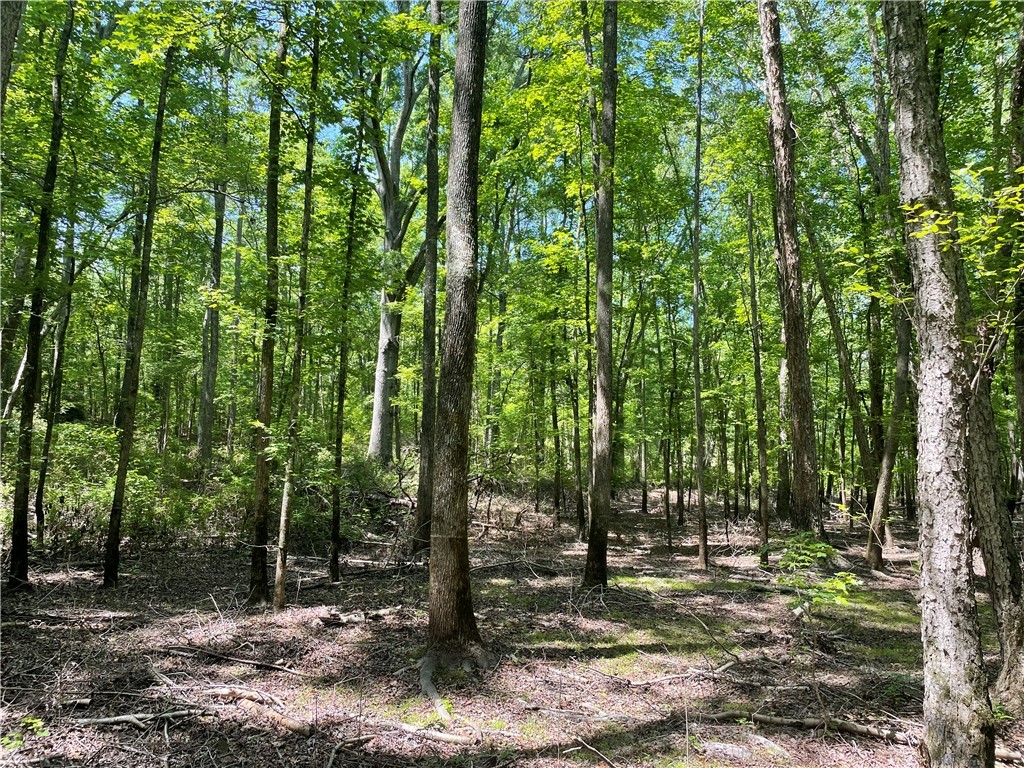 00 Clatworthy Road, Honea Path, South Carolina image 14