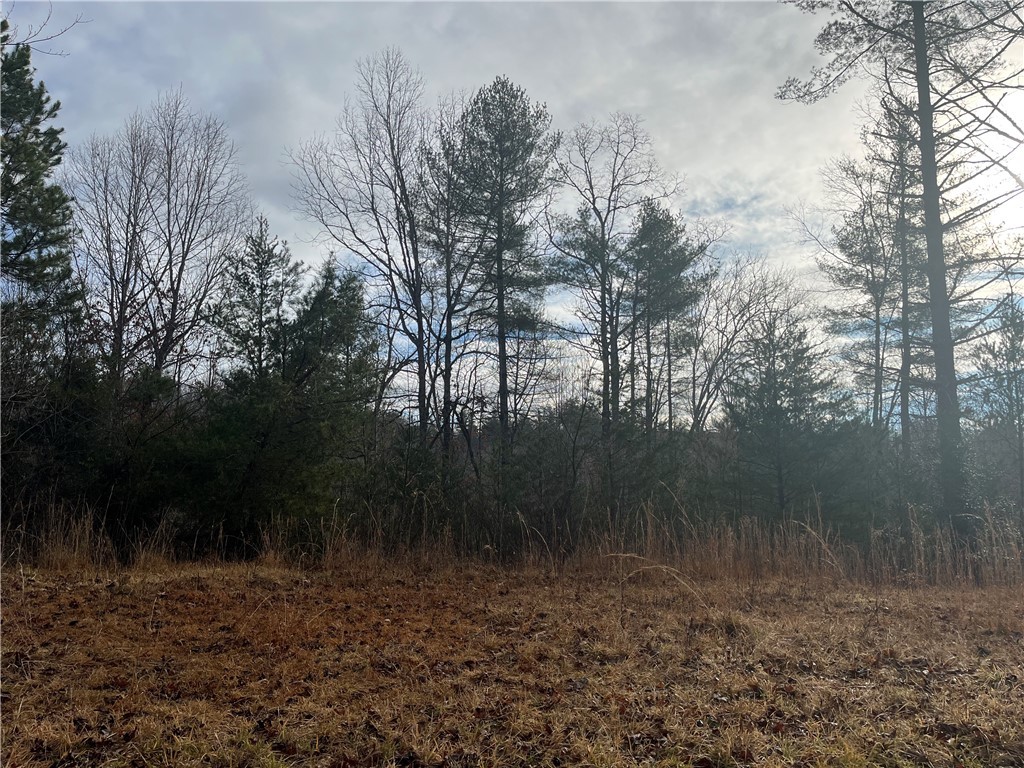00 Davidian Way, Tamassee, South Carolina image 7