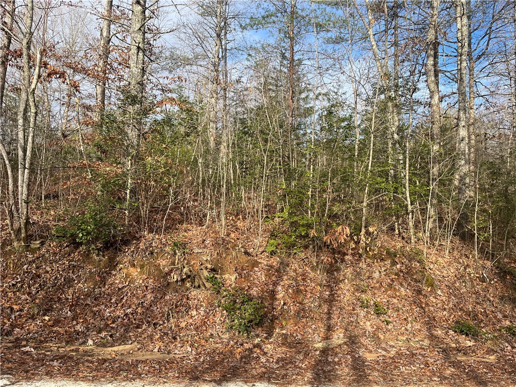 00 Davidian Way, Tamassee, South Carolina image 4