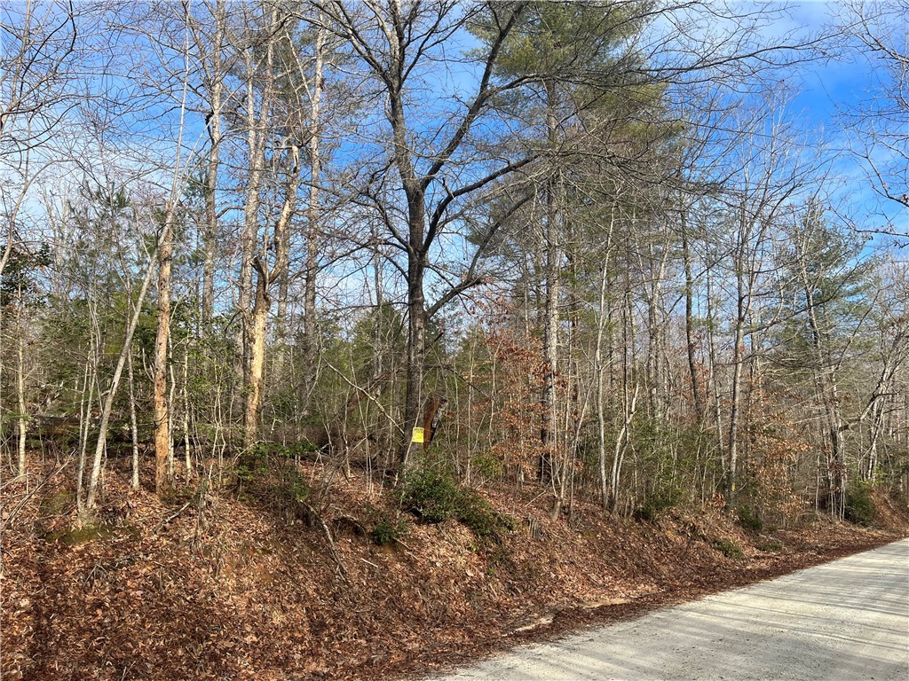 00 Davidian Way, Tamassee, South Carolina image 5