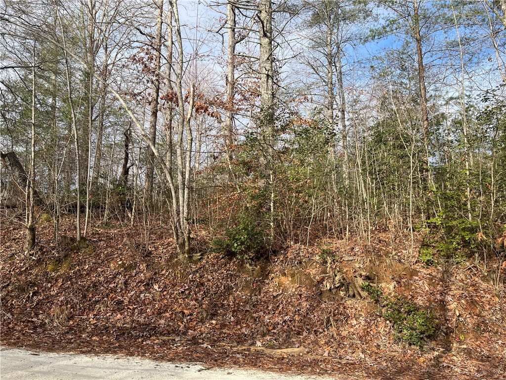 00 Davidian Way, Tamassee, South Carolina image 3