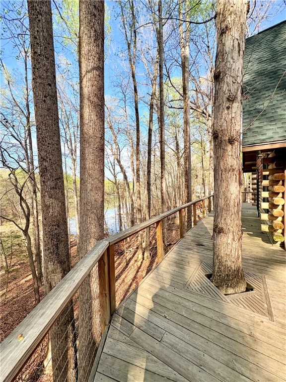191 Crystal Lane, Townville, South Carolina image 22