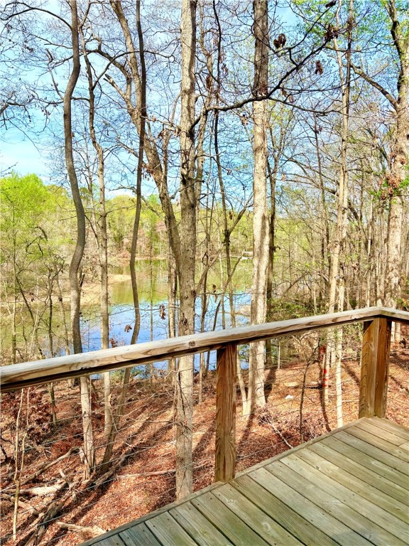 191 Crystal Lane, Townville, South Carolina image 5