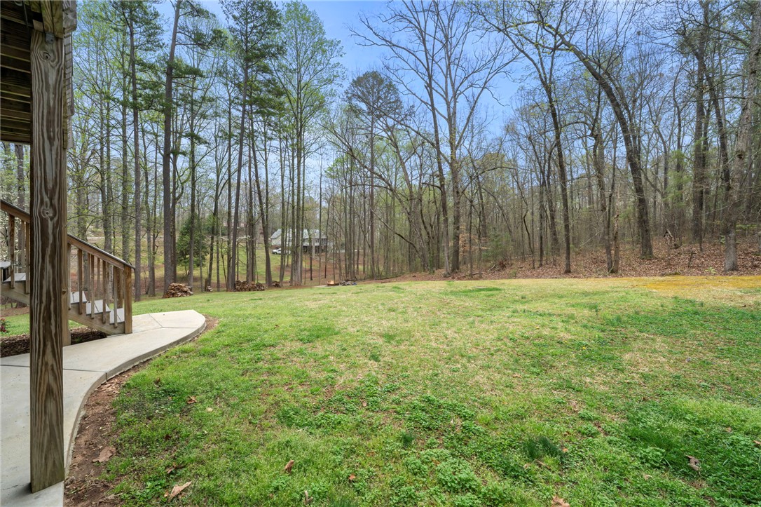 219 Chattan Court, Walhalla, South Carolina image 46