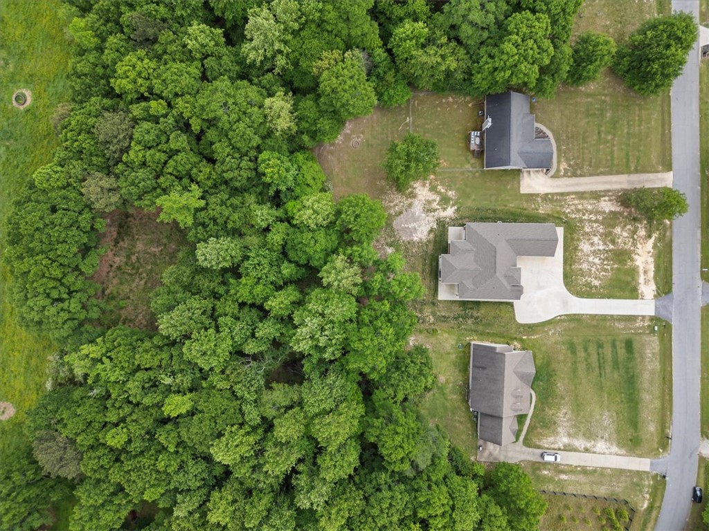 128 Sheila Drive, Williamston, South Carolina image 38