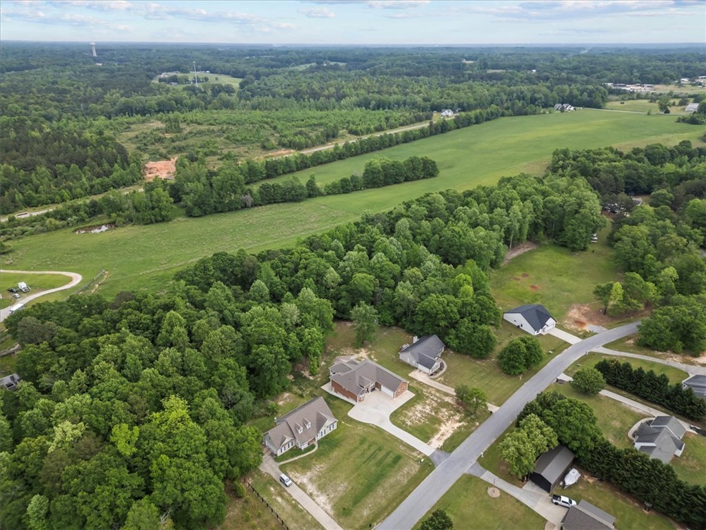 128 Sheila Drive, Williamston, South Carolina image 41