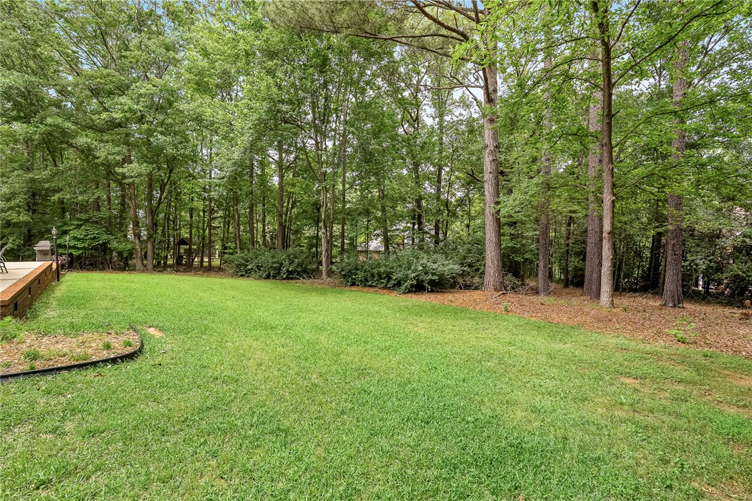 114 Hawnes Place, Anderson, South Carolina image 35