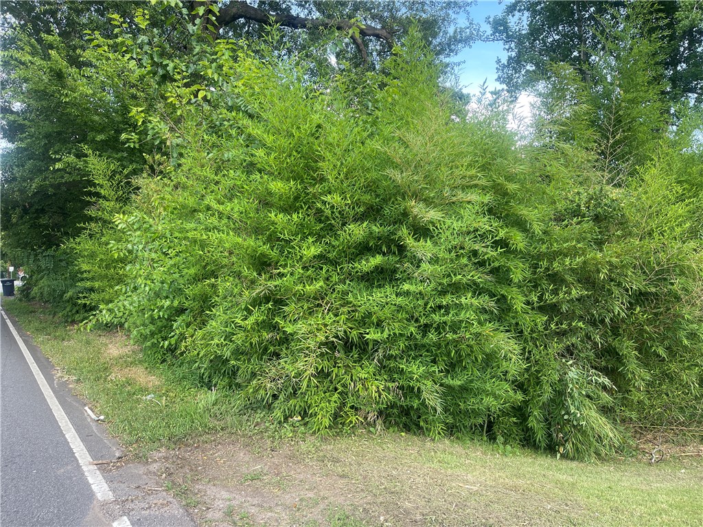 00 W Franklin Street, Anderson, South Carolina image 2
