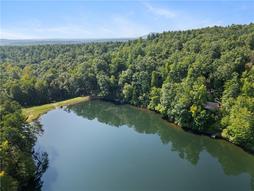 335 Lake Cheohee Road, Tamassee, South Carolina image 20