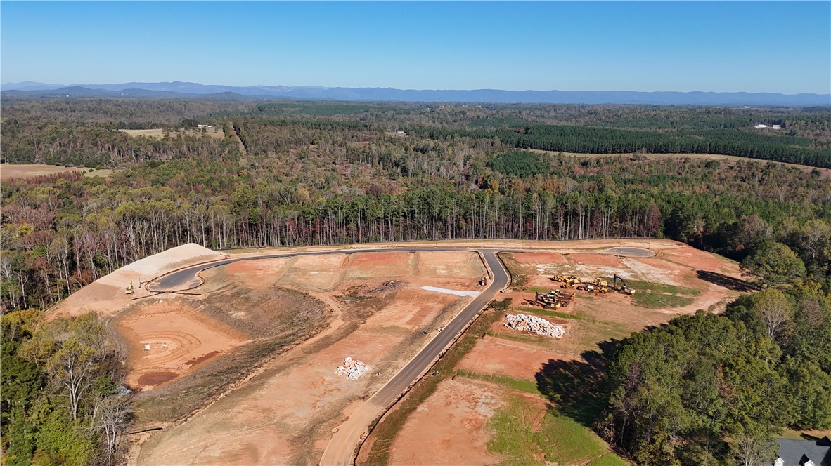 102 Hinton Farms Drive, Easley, South Carolina image 4