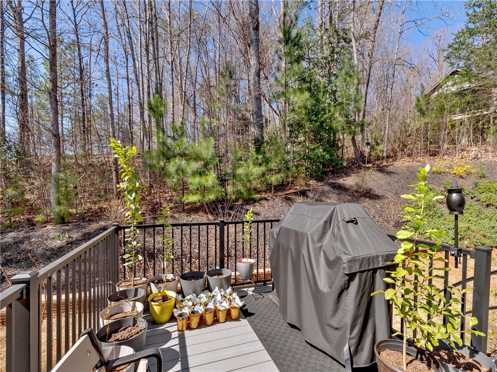 11 Silkvine Court, Travelers Rest, South Carolina image 34