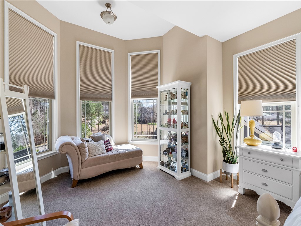 11 Silkvine Court, Travelers Rest, South Carolina image 20