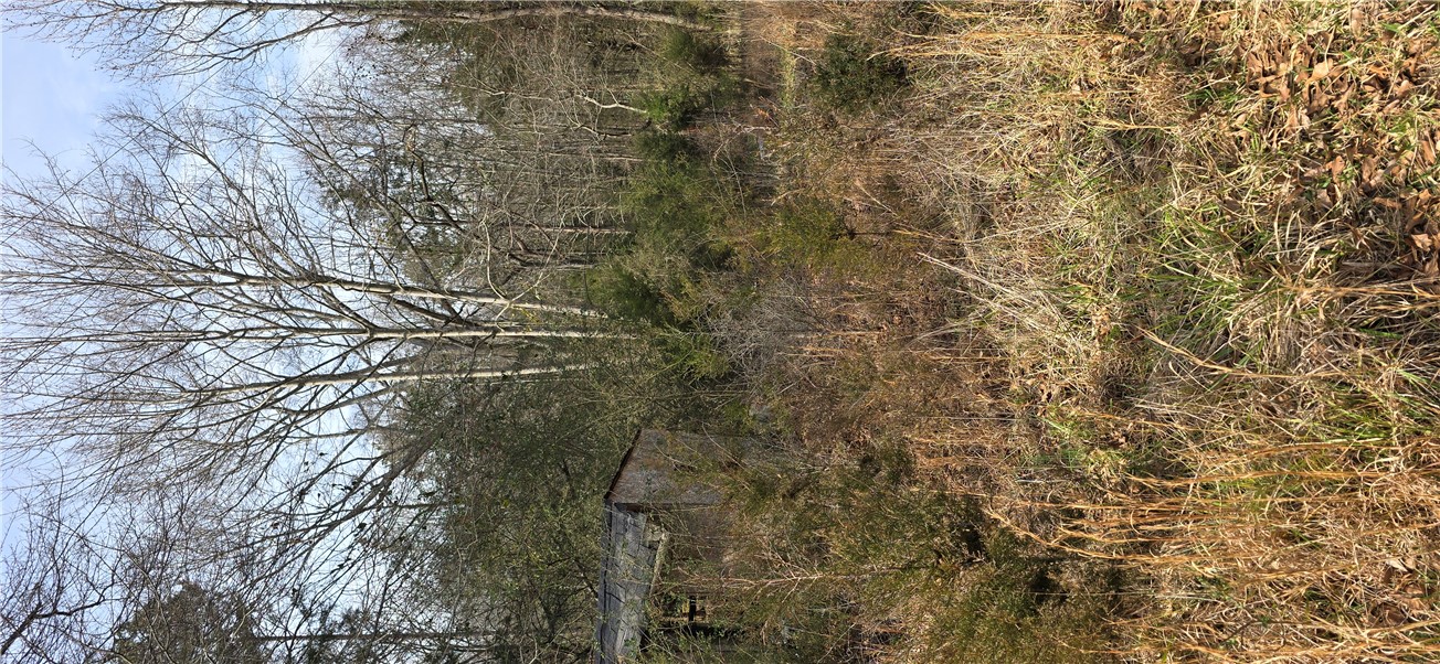 231 Oakdale Road, Townville, South Carolina image 15