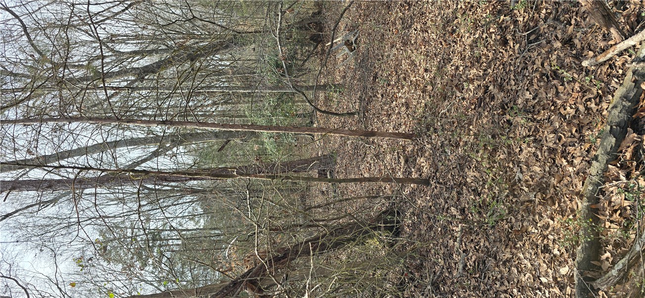 231 Oakdale Road, Townville, South Carolina image 19