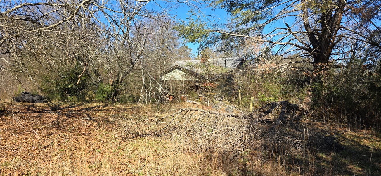 231 Oakdale Road, Townville, South Carolina image 2