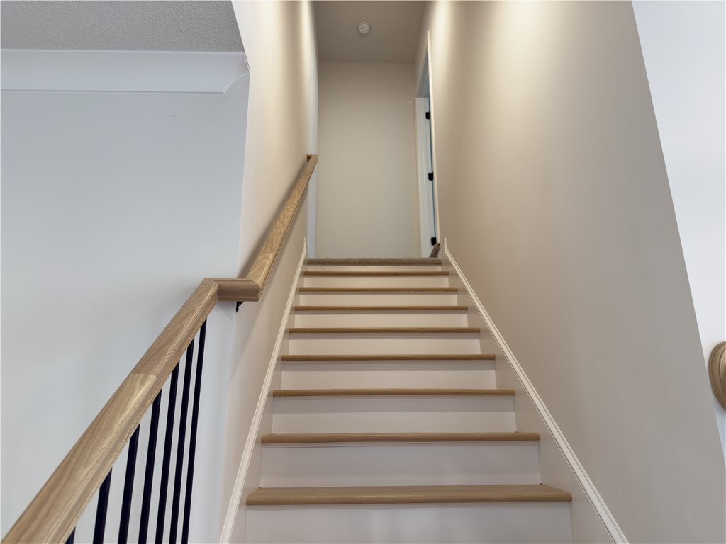 113 Castleford Drive, Clemson, South Carolina image 31
