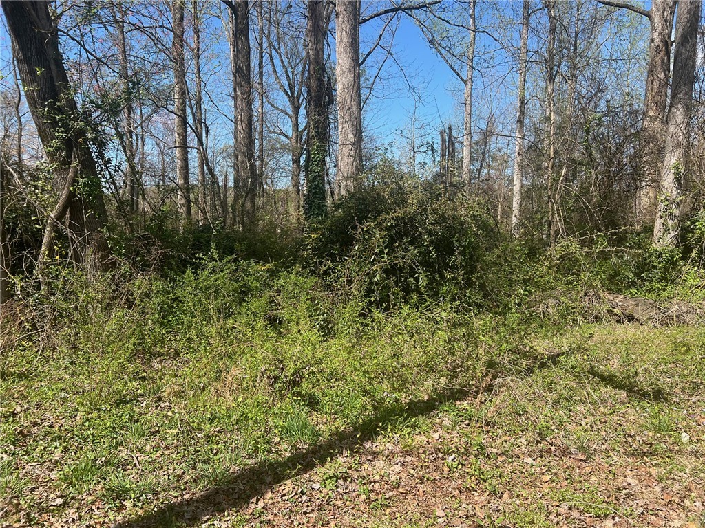 00 Fairfield Drive, Seneca, South Carolina image 2