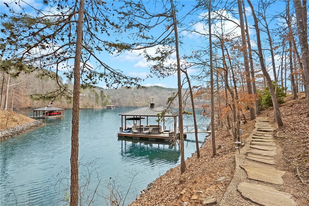 225 Saranac Drive, Sunset, South Carolina image 41