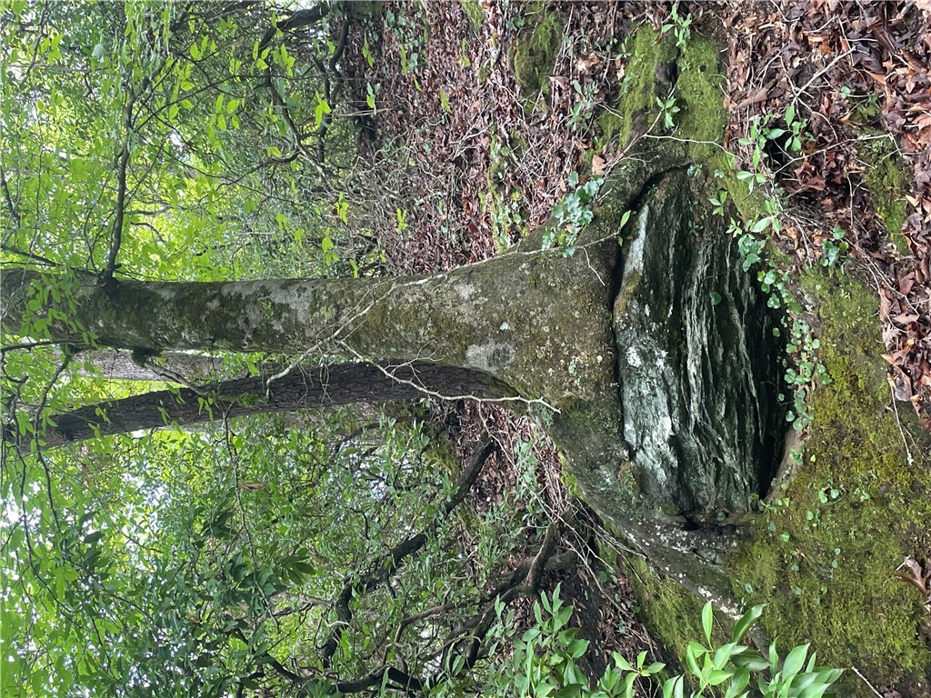 00 Osheal Drive, Tamassee, South Carolina image 19