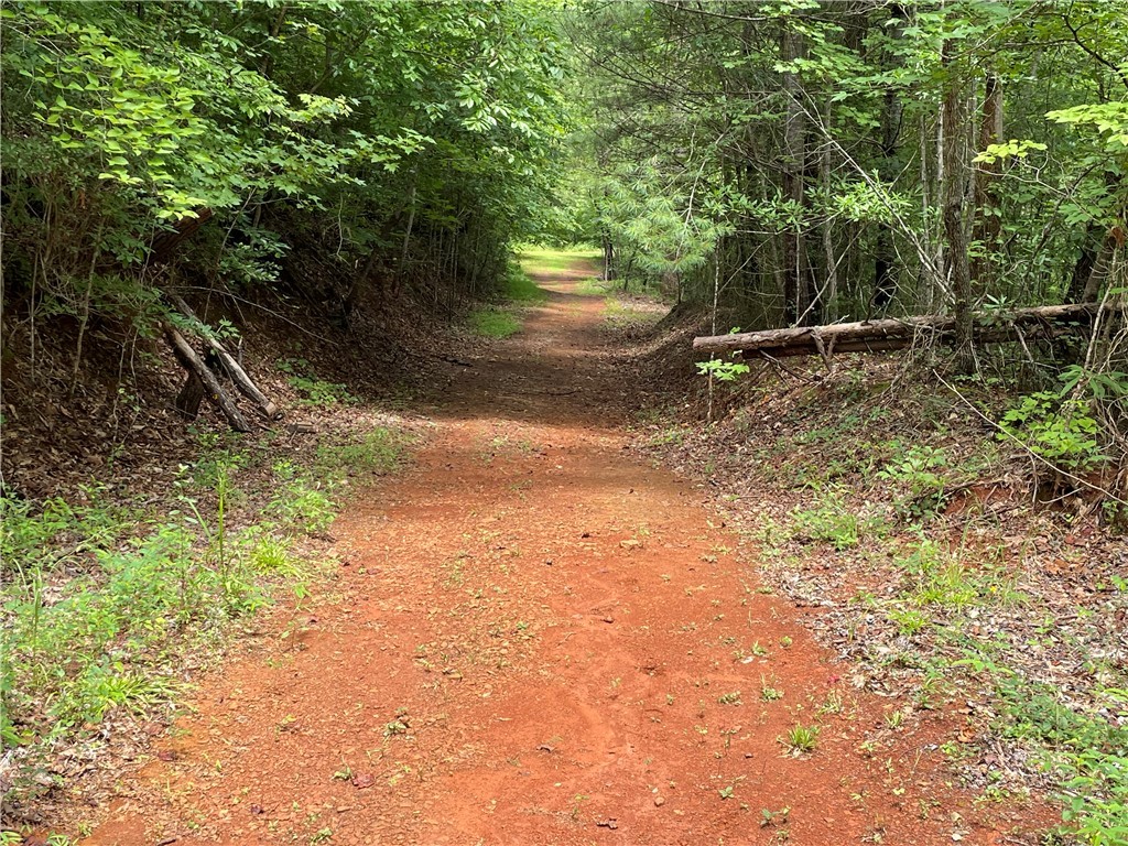 00 Osheal Drive, Tamassee, South Carolina image 25
