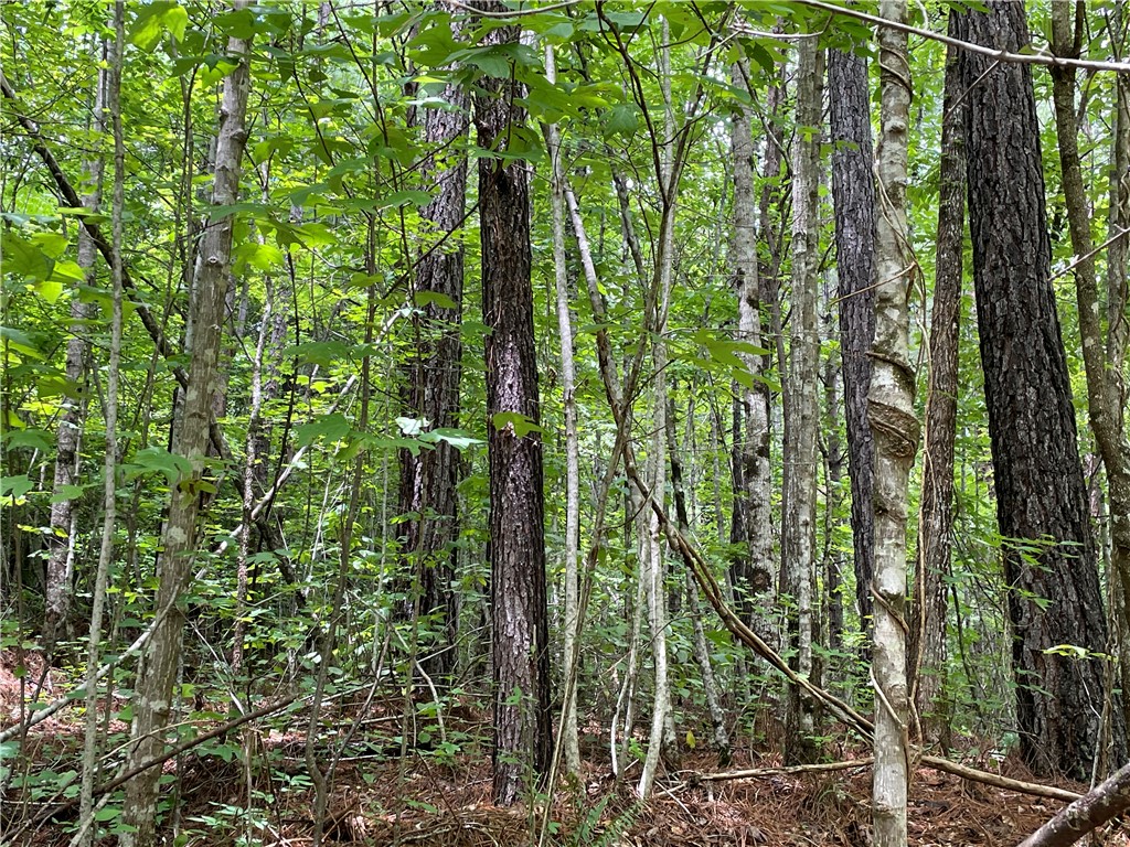 00 Osheal Drive, Tamassee, South Carolina image 15