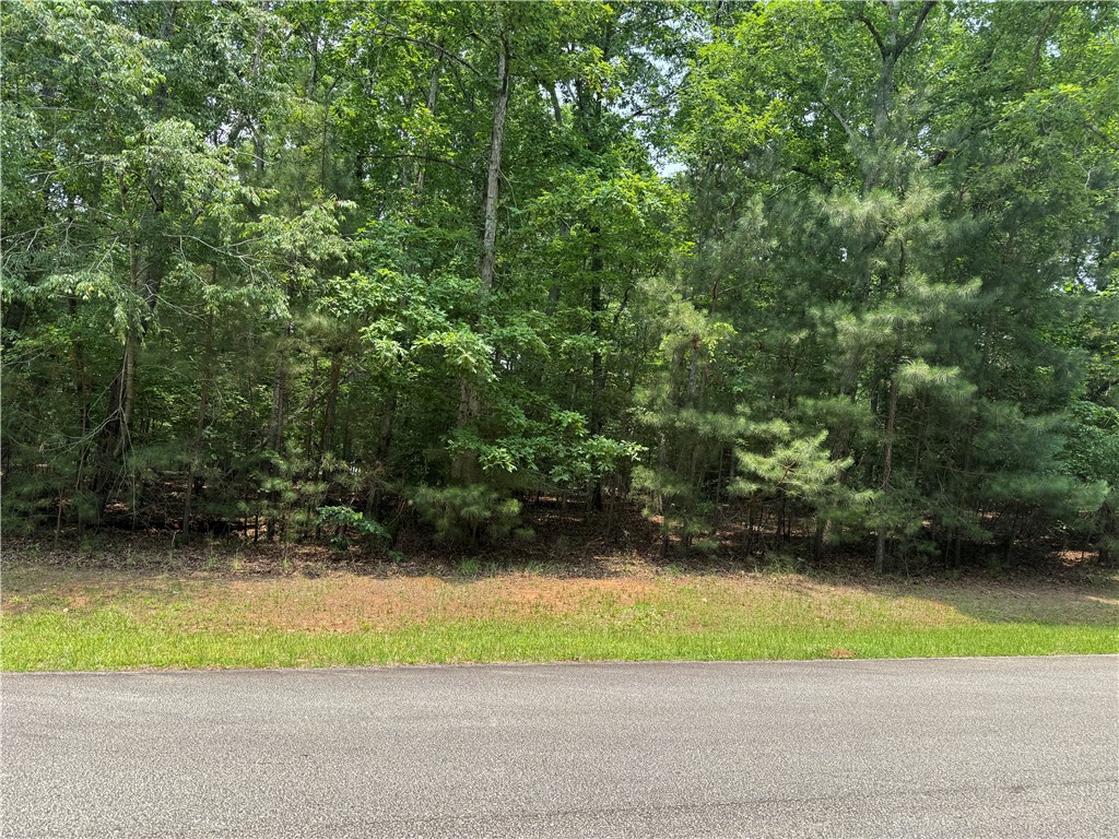 145 Waterside Drive, Iva, South Carolina image 1