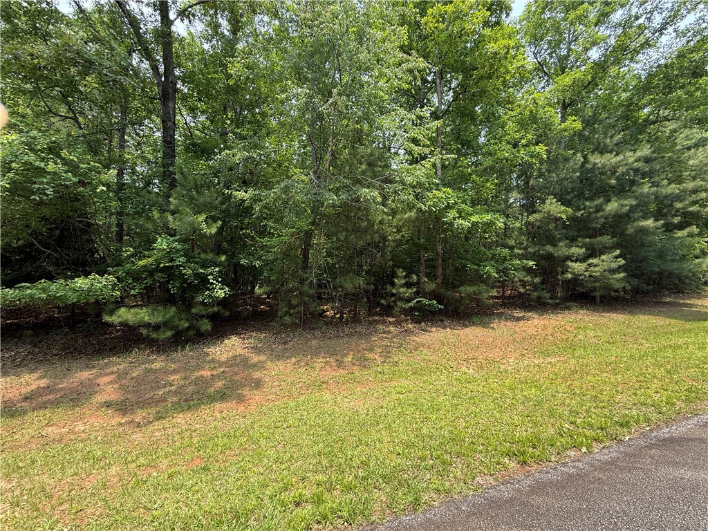 145 Waterside Drive, Iva, South Carolina image 5