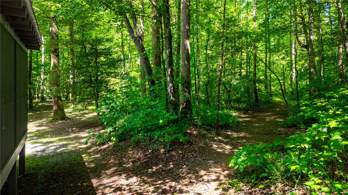 1457 Cheohee Valley Road, Tamassee, South Carolina image 38