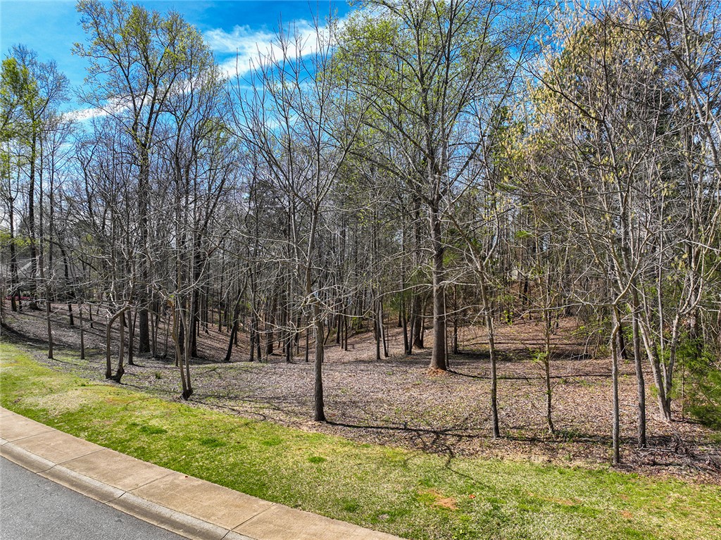 217 Winding Oaks Drive, Seneca, South Carolina image 2