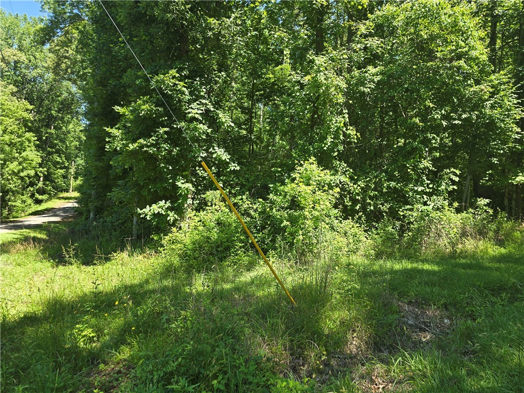 Lot 44 Mckenzie Drive, Anderson, South Carolina image 1