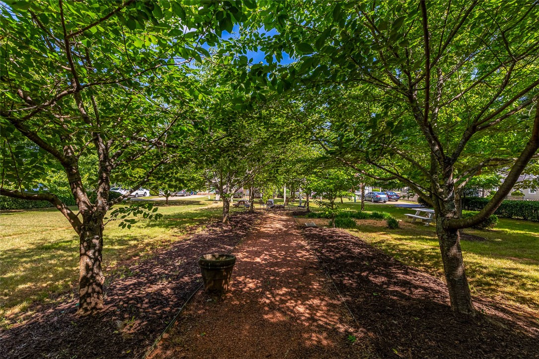 111 Mallard Street, Greenville, South Carolina image 37