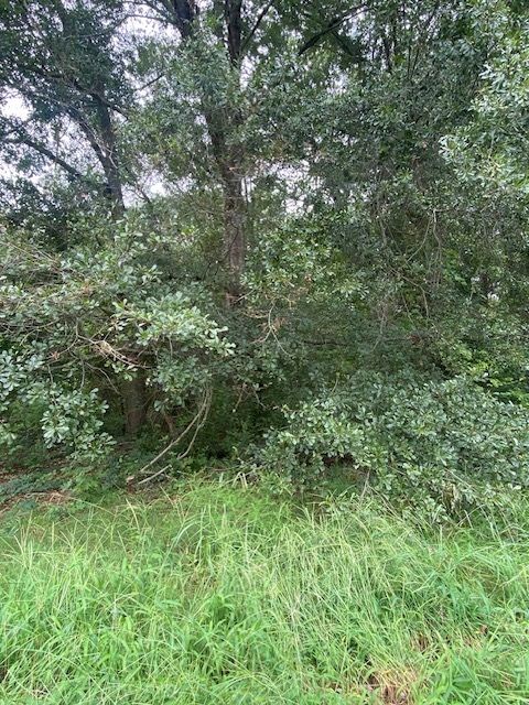 Vacant Land For Sale - LOT 102 Grand Oak Circle<br/> Pendleton, SC 29670