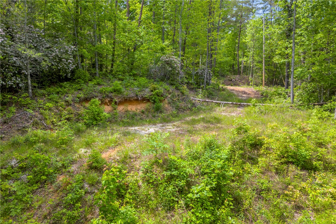 105 Chauga Valley Road, Westminster, South Carolina image 8
