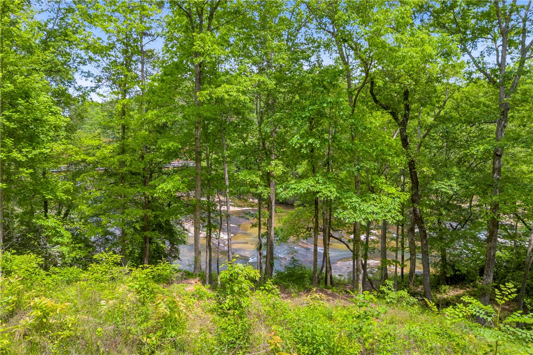105 Chauga Valley Road, Westminster, South Carolina image 7