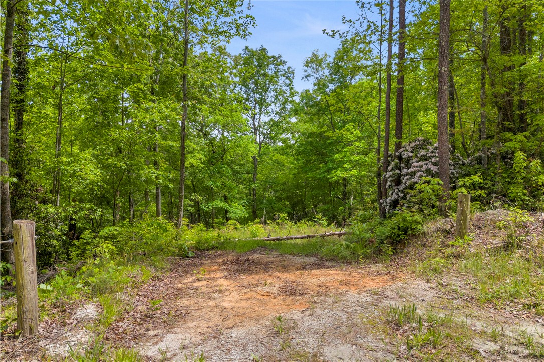 105 Chauga Valley Road, Westminster, South Carolina image 6