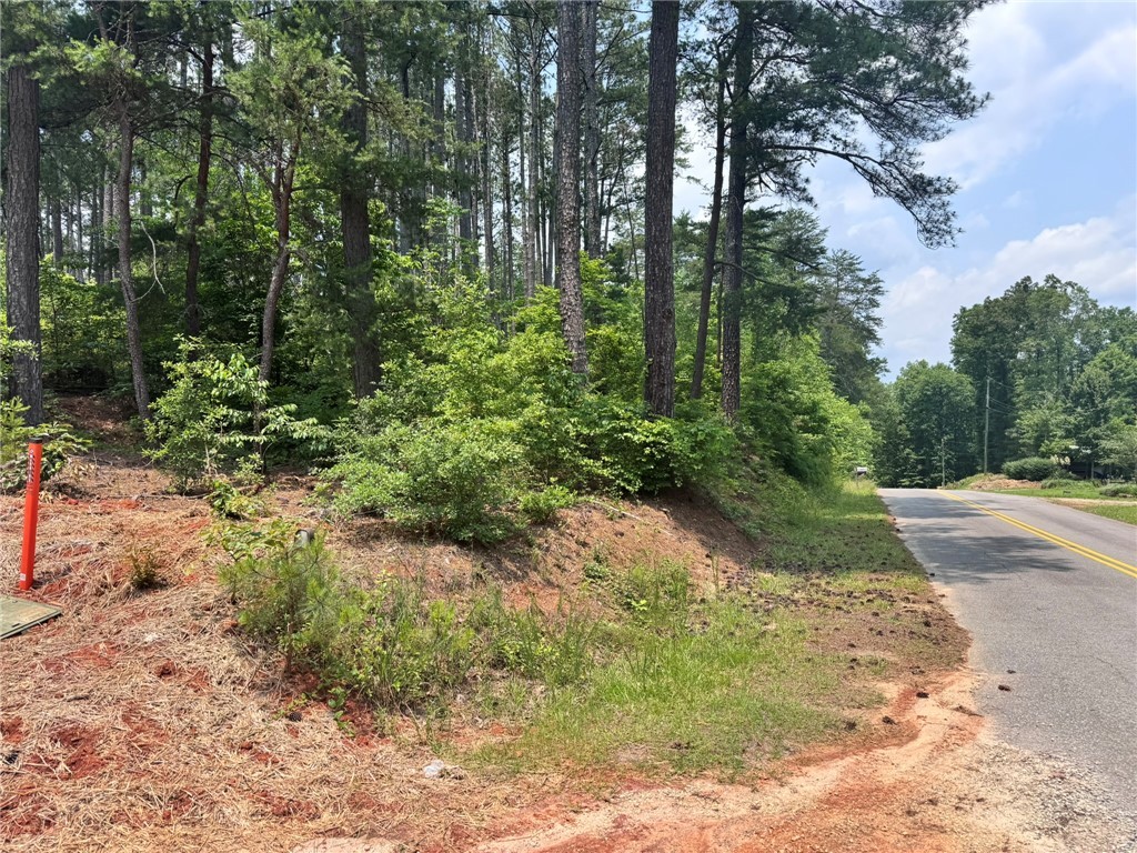 N Jenkins Bridge Road, Westminster, South Carolina image 8