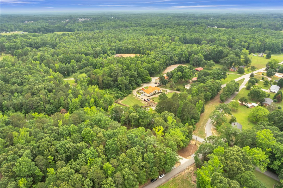 120 Thomason View Road, Fountain Inn, South Carolina image 44