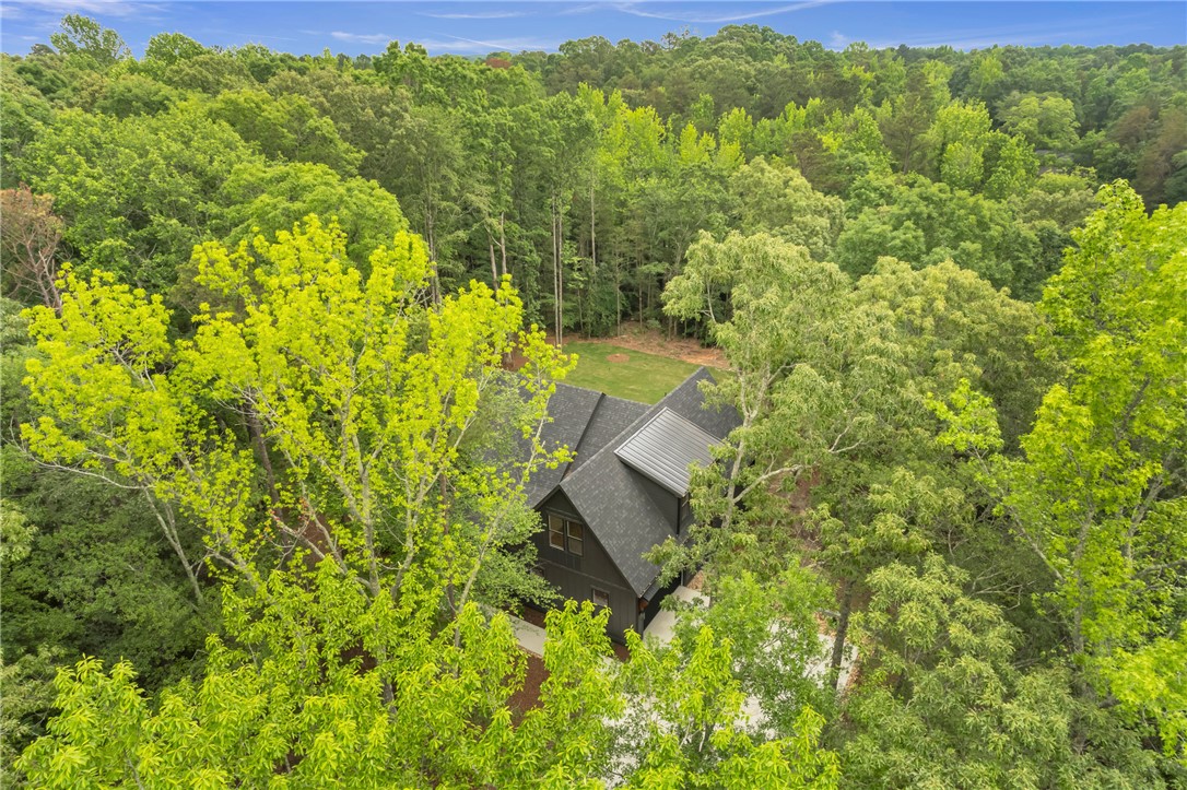 120 Thomason View Road, Fountain Inn, South Carolina image 40