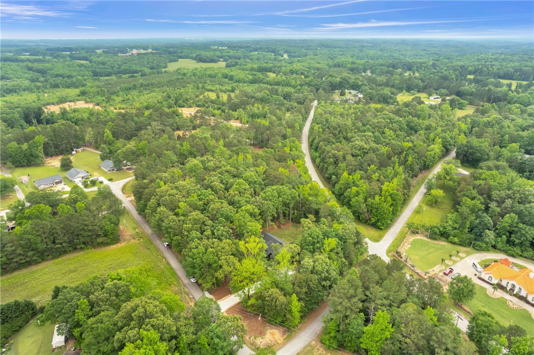 120 Thomason View Road, Fountain Inn, South Carolina image 45