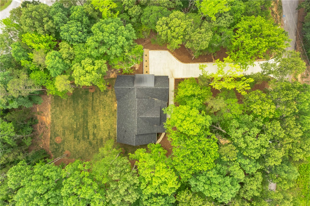 120 Thomason View Road, Fountain Inn, South Carolina image 41