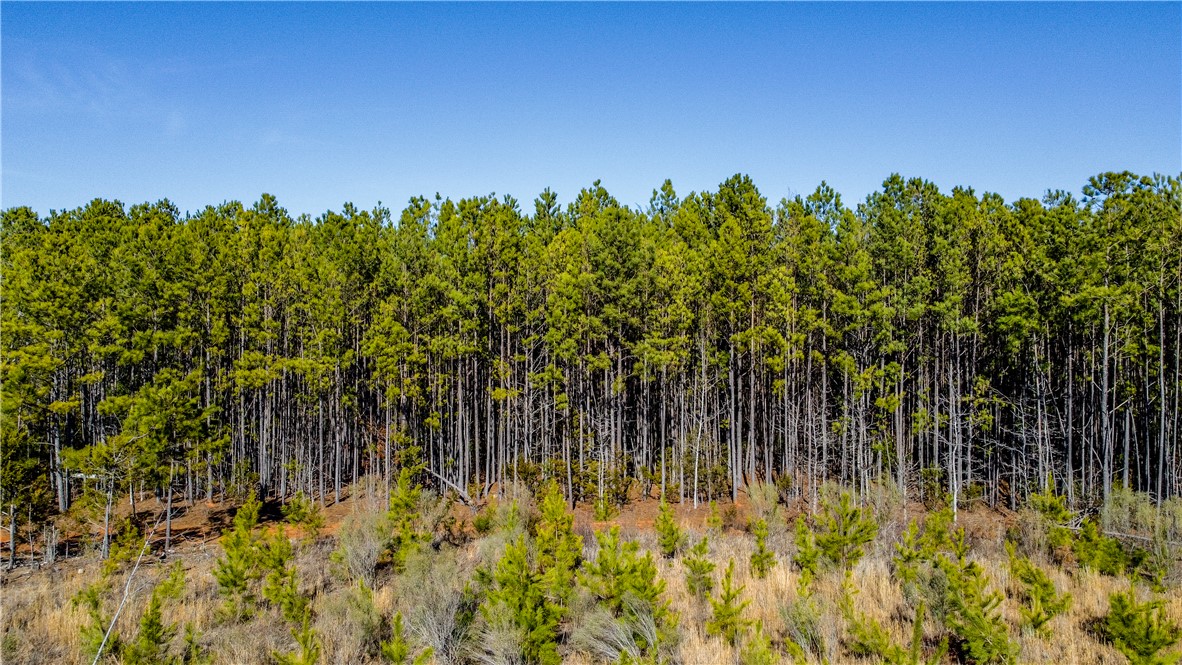 Us 178 S Highway, Greenwood, South Carolina image 10