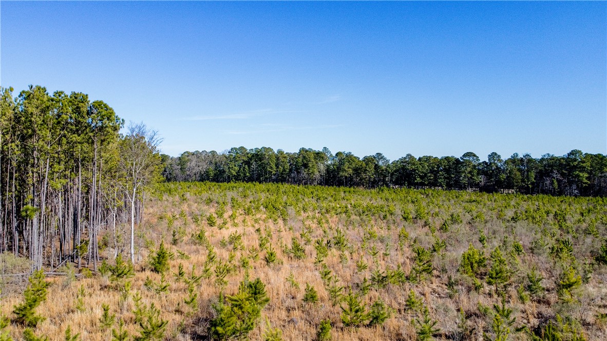 Us 178 S Highway, Greenwood, South Carolina image 9