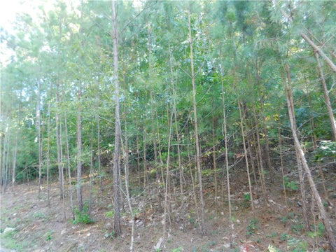Vacant Land For Sale - LOT 6 Bentwood Way<br/> Salem, SC 29676