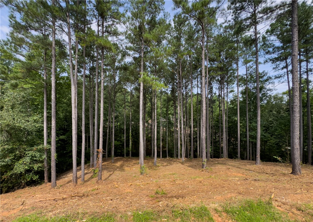 West Union, South Carolina 29696, United States, ,Land,Active,166977