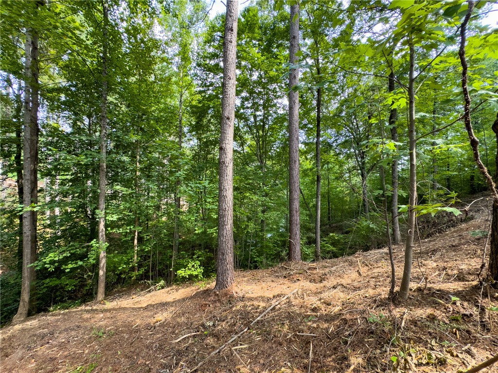 West Union, South Carolina 29696, United States, ,Land,Active,166977