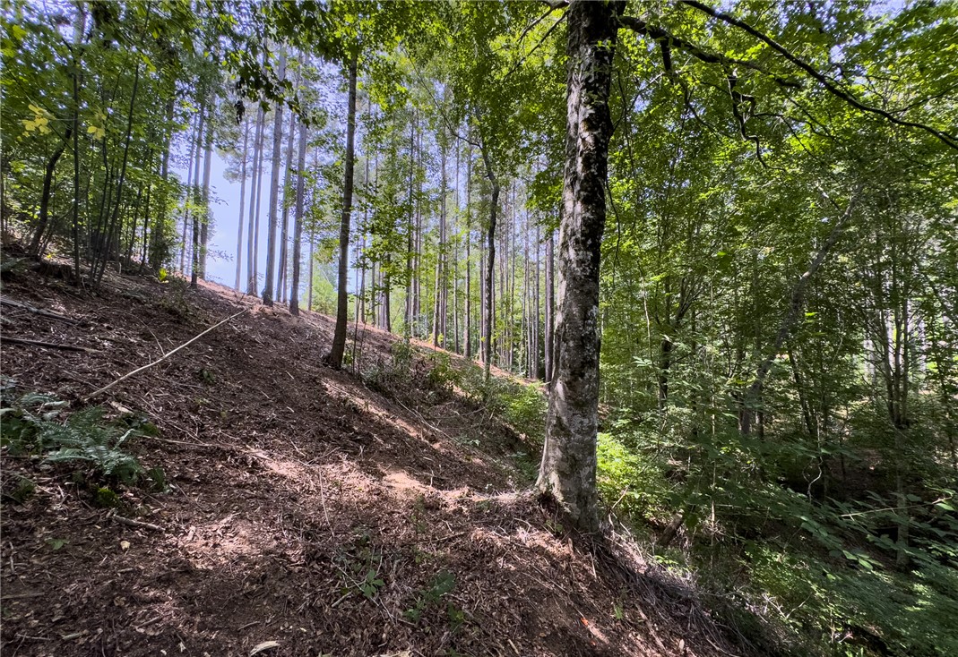 West Union, South Carolina 29696, United States, ,Land,Active,166977