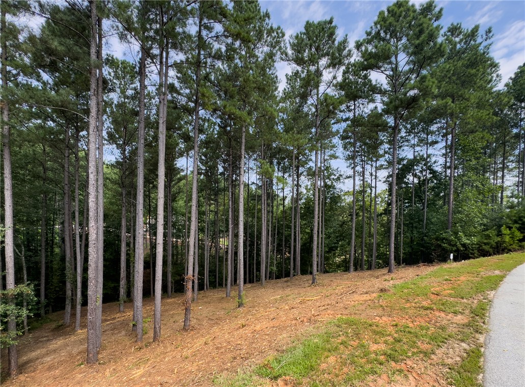 West Union, South Carolina 29696, United States, ,Land,Active,166977