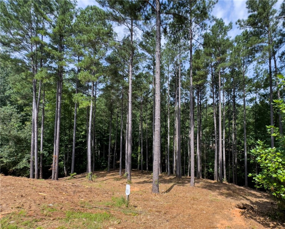 West Union, South Carolina 29696, United States, ,Land,Active,166977