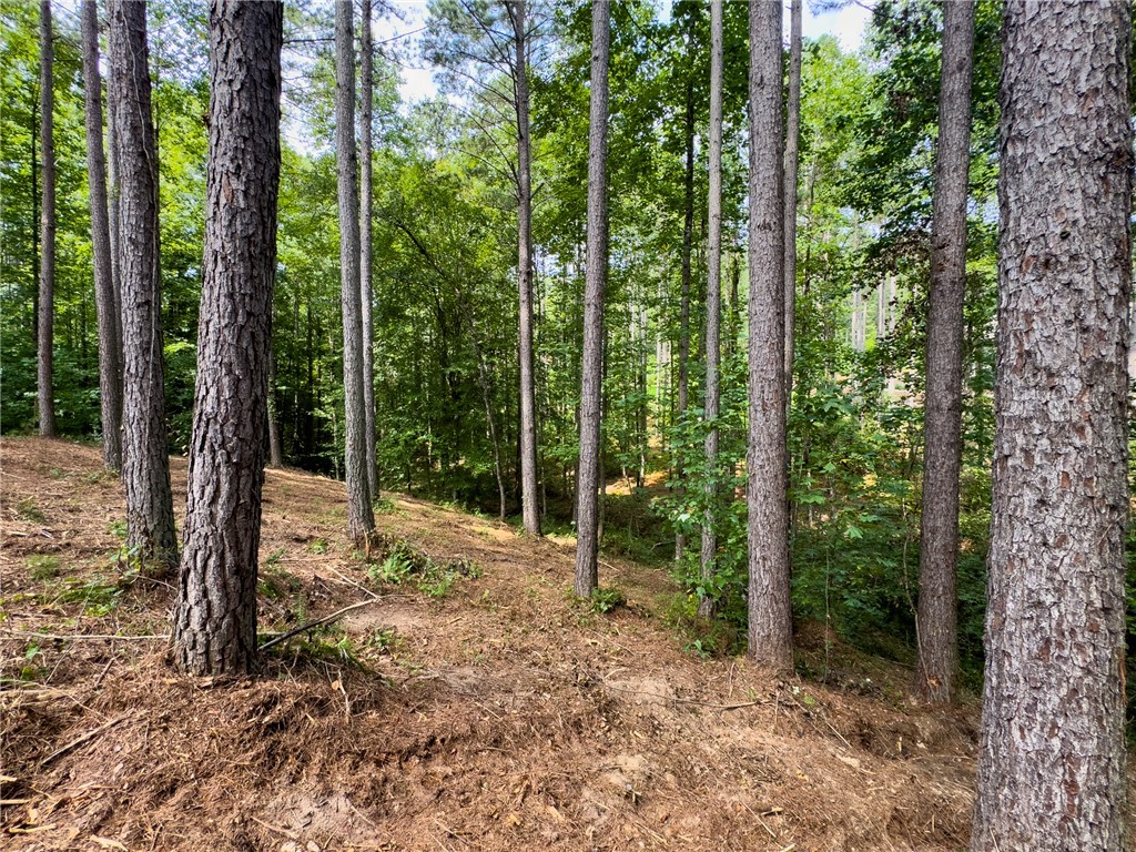 West Union, South Carolina 29696, United States, ,Land,Active,166977