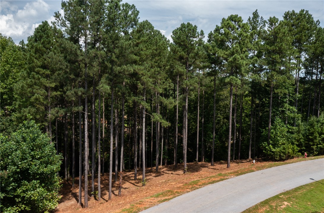 West Union, South Carolina 29696, United States, ,Land,Active,166977